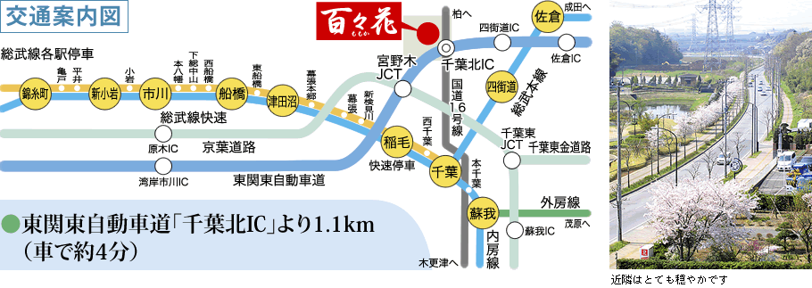 交通案内図